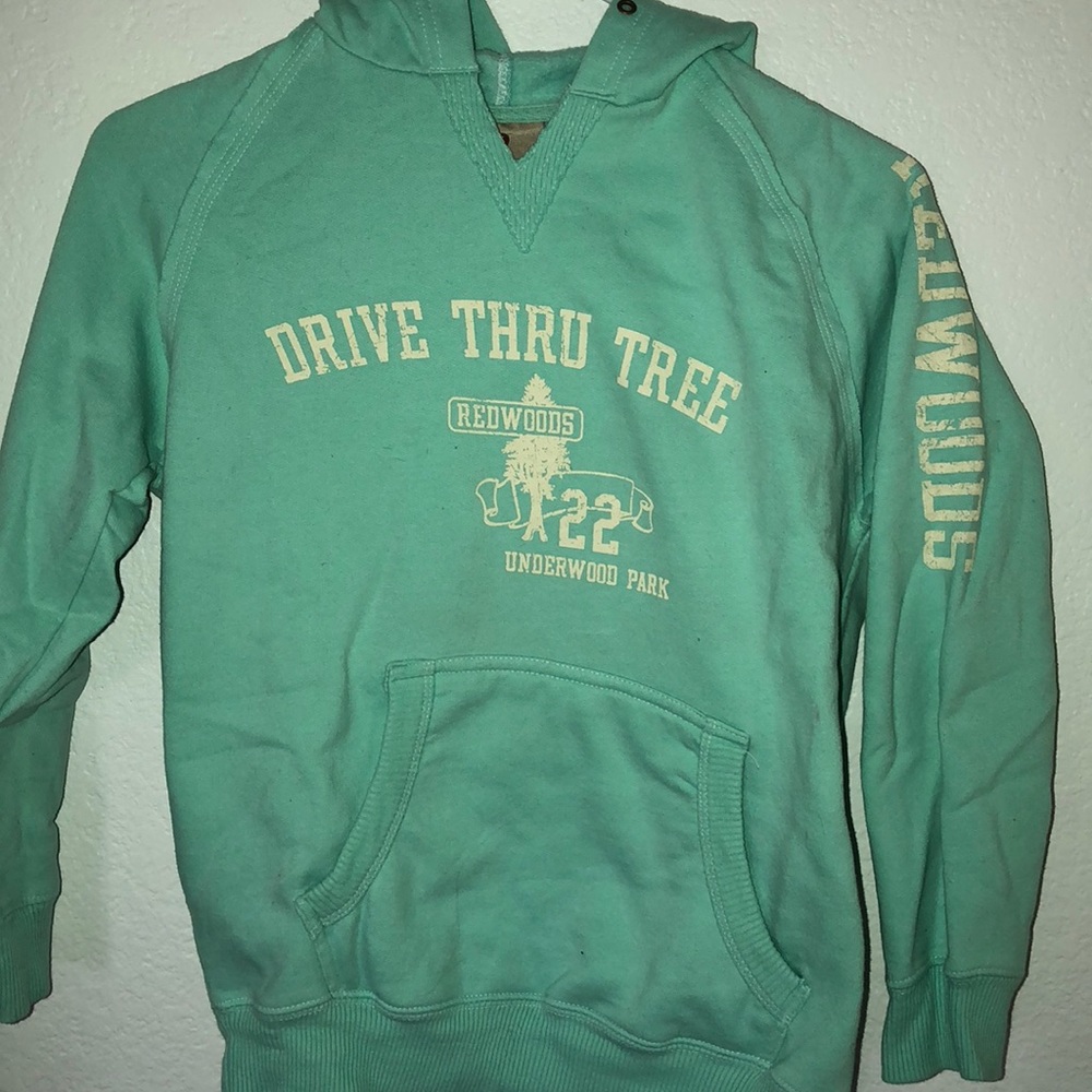 Mint hoodie,